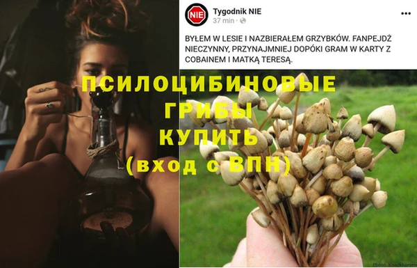 прущий лед Алексеевка