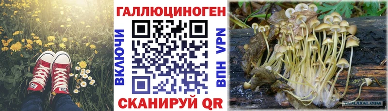 Галлюциногенные грибы прущие грибы  Троицк 